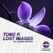 Lost Images (Andres Santana Remix) artwork