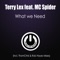 What We Need (feat. MC Spider) [Soulful Mix] - Terry Lex lyrics