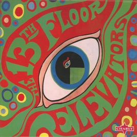 13th floor elevatorsの the psychedelic world of the 13th floor