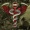 16 - Ants in my Bloodstream