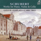 David Golub - Trio in B-flat Major, D. 898, Op. 99: I. Allegro moderato