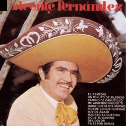 Vicente Fernández - Perdón Madrecita