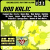 Bad Kalic, 2010