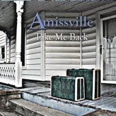 Amissville - Half A Century
