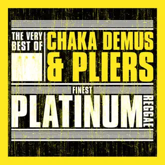 A Terror by Chaka Demus & Pliers song reviws