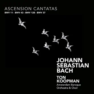 Bach: Ascension Cantatas by Ton Koopman, Amsterdam Baroque Orchestra & Amsterdam Baroque Choir album reviews, ratings, credits