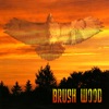 Brush Wood, 2008