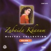 Digital Collection, Vol. 4 (Urdu)