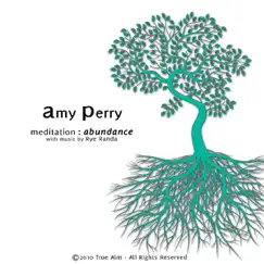 Meditation : Abundance by Amy Perry album reviews, ratings, credits
