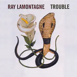 Trouble - Single - Ray LaMontagne
