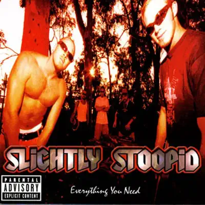 Everything You Need - Slightly Stoopid