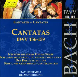 Ich Steh Mit Einem Fuss Im Grabe, BWV 156: Sinfonia by Wolfgang Schone, Kurt Equiluz, Hildegard Laurich, Stuttgart Figuralchor der Gedachtniskirche, Helmuth Rilling & Stuttgart Bach Collegium song reviws