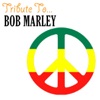 Tribute to Bob Marley, 2006