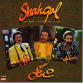 Shahgol: "Persian Music" artwork