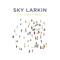 Matador - Sky Larkin lyrics