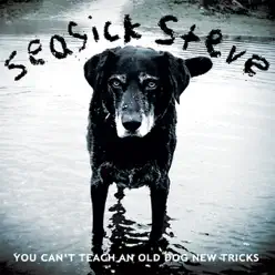 You Can't Teach an Old Dog New Tricks - Seasick Steve