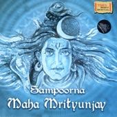 Maha Mrityunjay Mantra artwork
