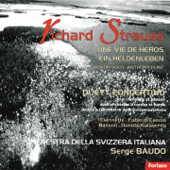 Richard Strauss : Une vie de héros, Duett Concertino pour clarinette et basson - Multi-interprètes