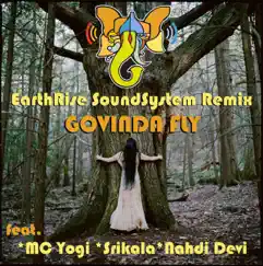 Govinda Fly (EarthRise SoundSystem Remix feat. Srikala, Nadhi Devi & MC Yogi) Song Lyrics