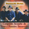 Buscando Olvido