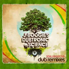 Soul Vibrations (Dub Remixes) by J Boogie's Dubtronic Science album reviews, ratings, credits