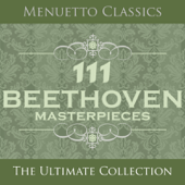 111 Beethoven Masterpieces - Various Artists