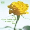 Great Orchestral Classics Vol. 2