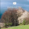 Vladimir Horowitz - Piano Sonata No. 11 in A Major, K. 331: III. Rondo alla Turca