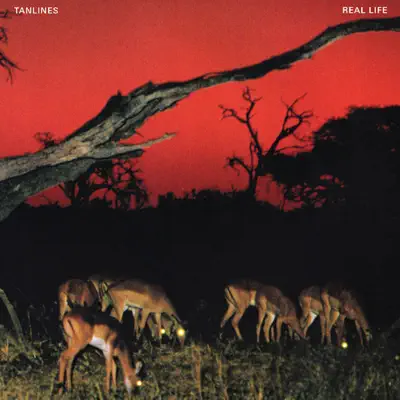Real Life - EP - Tanlines