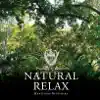 Natural Relax presented by Folklove album lyrics, reviews, download