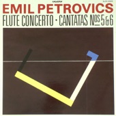 Concerto for Flute and Orchestra: III. Allegro artwork