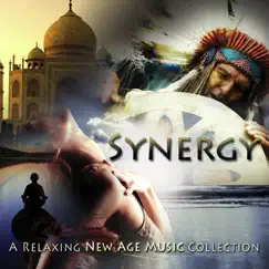 Synergy: a Relaxing New Age Music Collection by Various Artists album reviews, ratings, credits