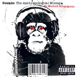 Cookie: The Anthropological Mixtape - Meshell Ndegeocello