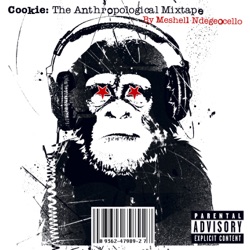 Meshell Ndegeocello - Better By the Pound