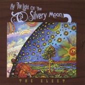 By the Light of the Silvery Moon artwork