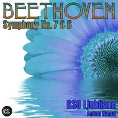 Symphony No. 7 in A major, Op. 92: II. Allegretto Song Lyrics
