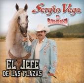 El Jefe de las Plazas, 2008