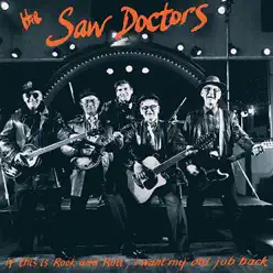 If This Is Rock and Roll, I Want My Old Job Back - The Saw Doctors