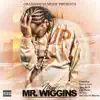 Stream & download Meet Mr Wiggins