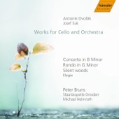 Cello Concerto In B Minor, Op. 104, B. 191: II. Adagio Ma Non Troppo artwork