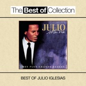 Ma vie - Mes plus grands succès (Best of Julio Iglesias) artwork