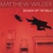 Fortune Cookie - Matthew Wilder lyrics