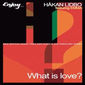 What Is Love (Original) artwork