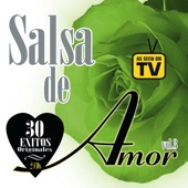 Salsa de Amor, Vol. 3 artwork