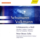 SCHUMANN, R. - VOLKMANN, F.R.: Cello Concertos artwork