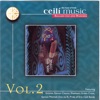 The Best Of Irish Ceili Music - Volume 2