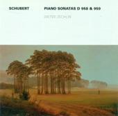 Dieter Zechlin - Piano Sonata No. 19 in C minor, D. 958: IV. Allegro