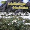 Treffpunkt Edelweiss, Folge 2