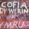 Cofia, 2004