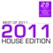Lady (Crazibiza Remix) - Mike Newman & The Viron lyrics